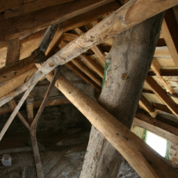 La charpente bois : techniques et savoir-faire du charpentier à Brignoles